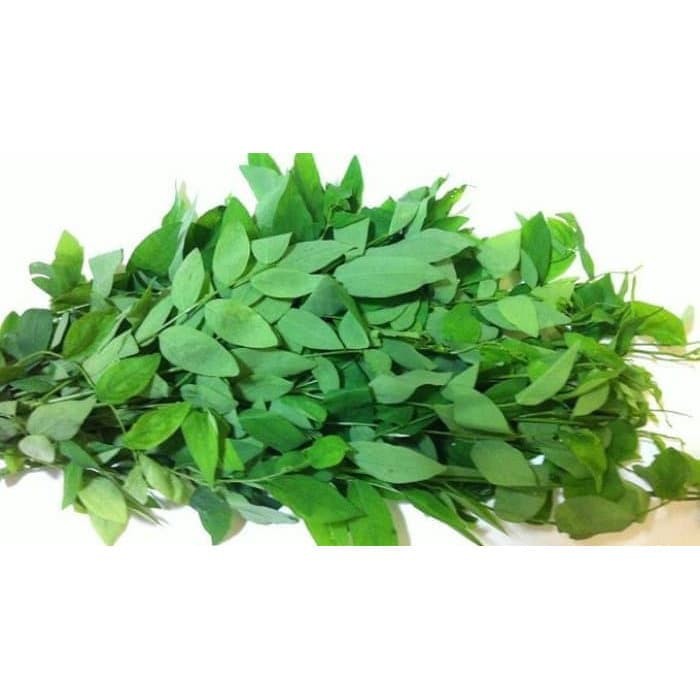 

Daun katuk segar