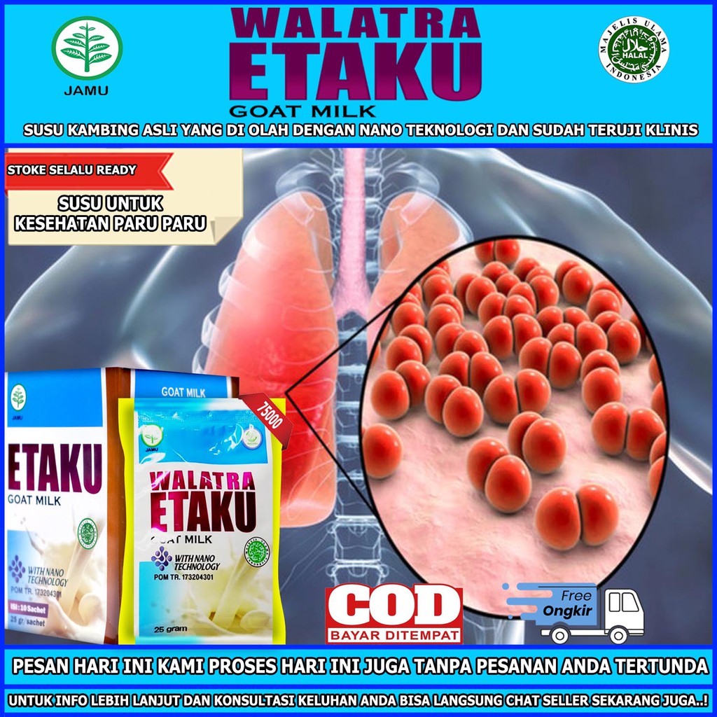 

Obat Penyakit Paru Paru Radang Paru Paru Tbc Asma Bronkhitis Susu Kesehatan Paru Paru Walatra Etaku