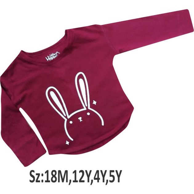 Baju Anak Long Sleeve Lengan Panjang Little Hippo / Kaos anak long sleeve Littlehippo Long Sleeve