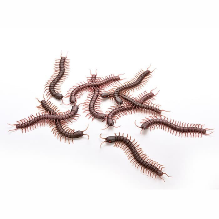 Kelabang Palsu Prank Kelabang Coklat Kelabang Mainan Kelabang Prank Mainan Hewan Usil