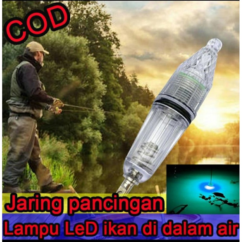 Lampu cumi dalam air