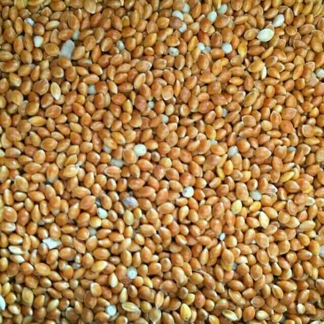 Makanan burung Milet merah / miled merah kemasan 1 kg