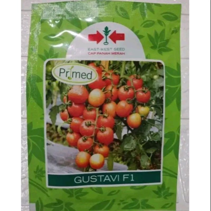 Benih bibit Tomat Gustavi F1 1750 butir
