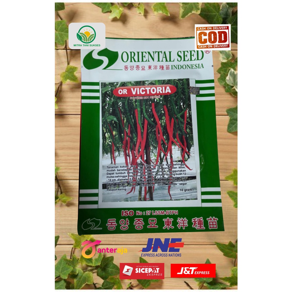 Benih Cabe Keriting Hibrida OR VICTORIA Oriental Seed