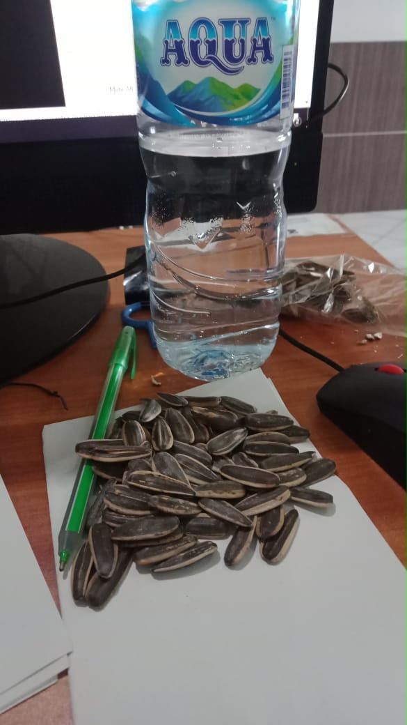 Masker Kain Modiza Anti Engap