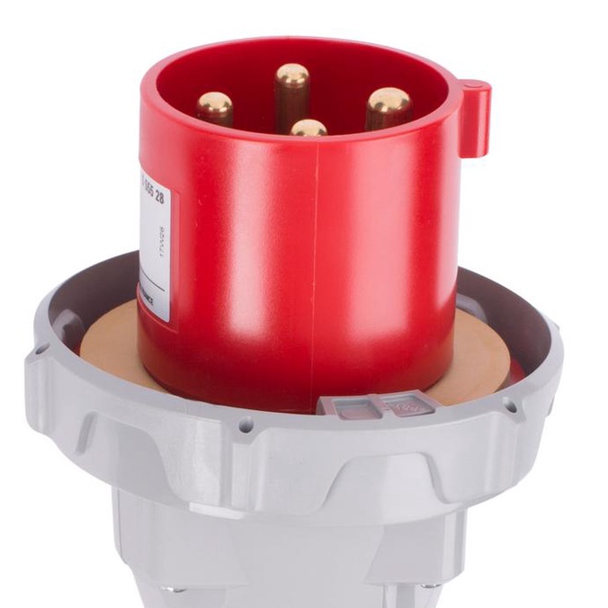 Legrand Straight Plugs 63A 4 Pin 555528