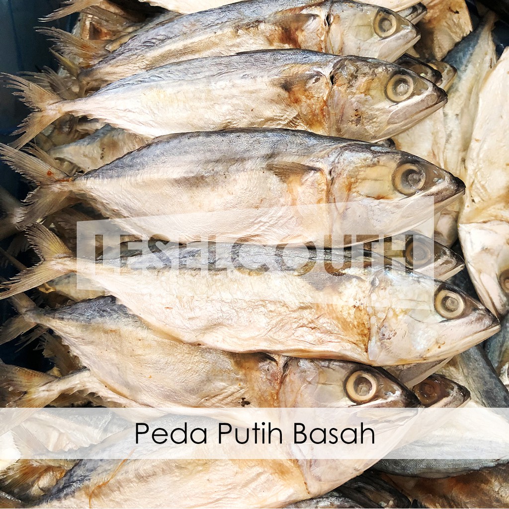 

Ikan Asin Peda Putih Basah 250 gram