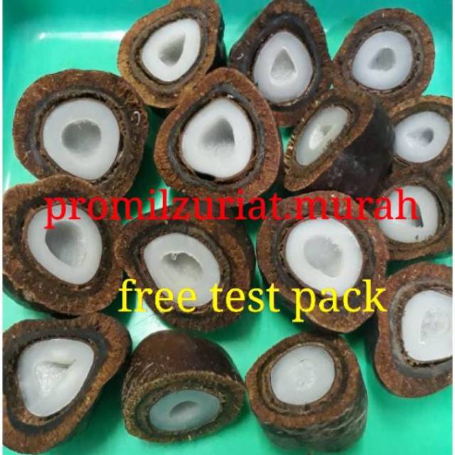 

1 kg buah zuriat madinah belah Dan utuh single murah promil