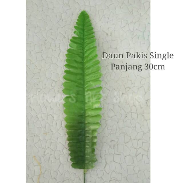 Daun pakis / daun artificial