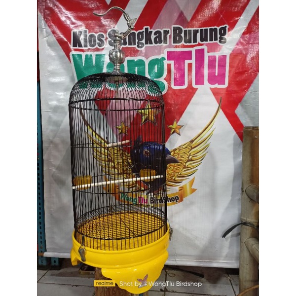 Sangkar Besi Lovebird Gankster