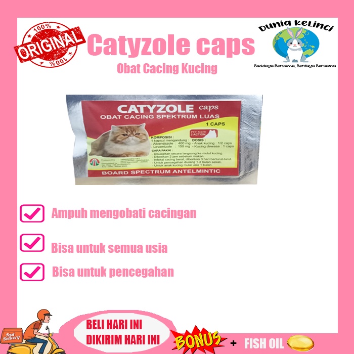 OBAT CACING KUCING CATYZOLE CAPS KAPSUL CAT SPEKTRUM LUAS