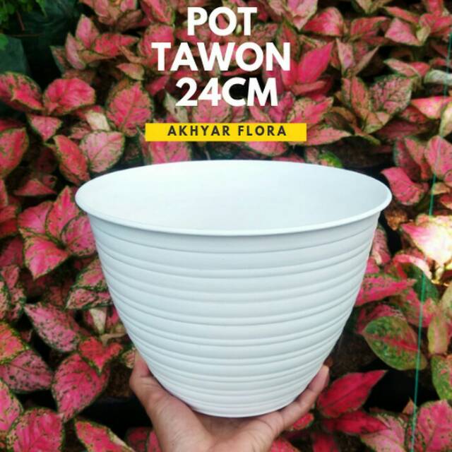 Pot Bunga Tawon Putih Ukuran 24CM Pot Bunga Tawon Putih