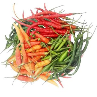 

Cabe Campur / Bungkus [Jaminan Kualitas]