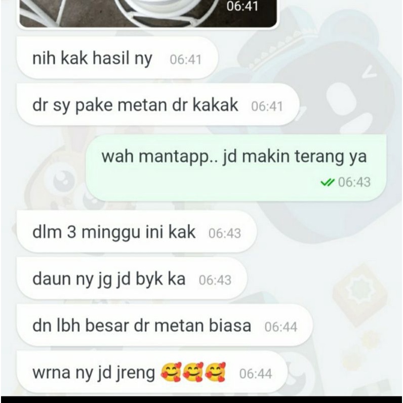 RB Media tanam ajaib 5 kg, metan aglonema, metan varigata, metan premium