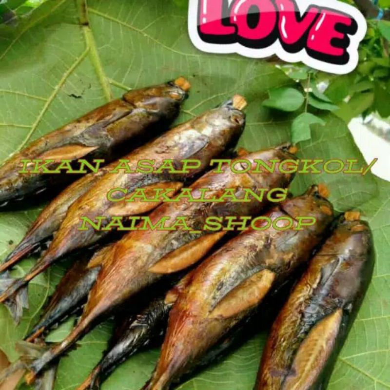 IKAN ASAP TUNA | ASAP TONGKOL | IKAN ASAP CAKALANG