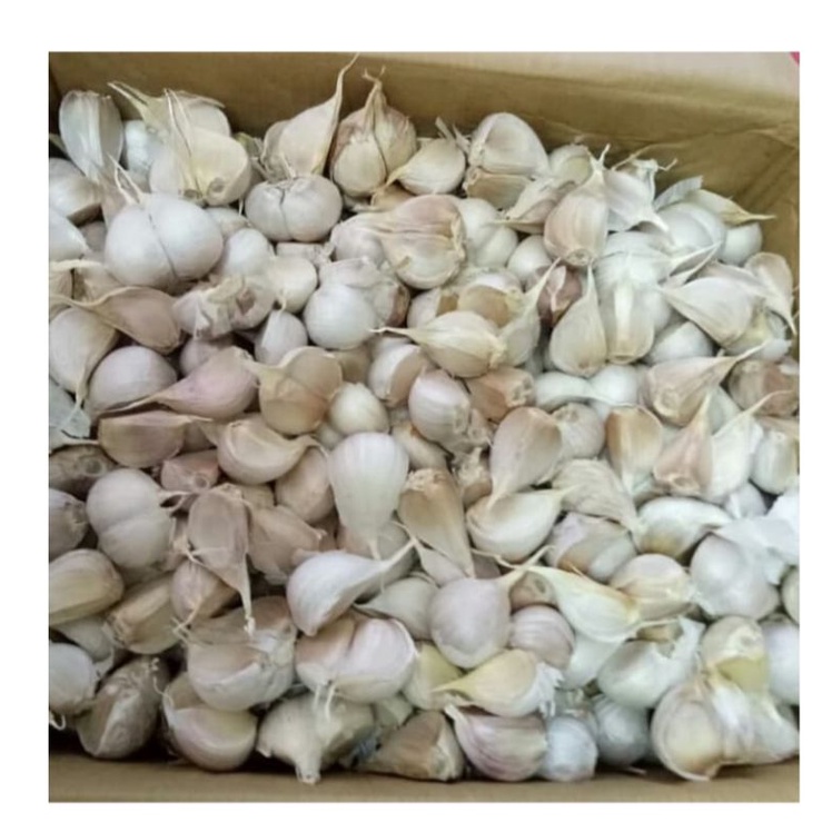 

Bawang Kating 1kg