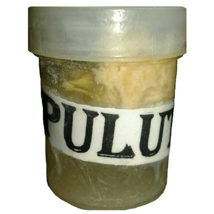 Promo Lem Perangkap Burung Getah Pohon PULUT Murah