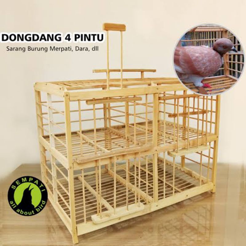 dondang dongdang kandang merpati 4 pintu