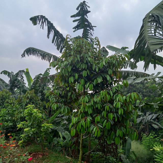 pog8fh4y56g4byel1gf2dsyxqows