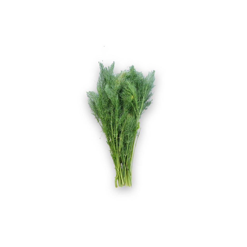 

SAYUR ORGANIK Daun Dill