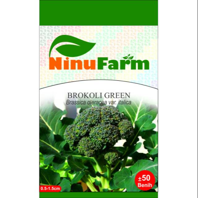 Benih Green Brokoli 50Seeds