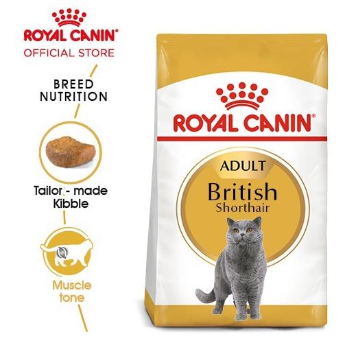 Royal Canin Adult British Shorthair Makanan Kucing Dewasa Dry 2Kg Tokonilda