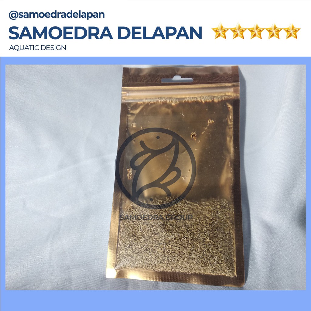 CARPET SEED AQUASCAPE HAIR GRASS BIBIT KARPET SEED HAIRGRASS BIBIT KARPET HAIR GRASS