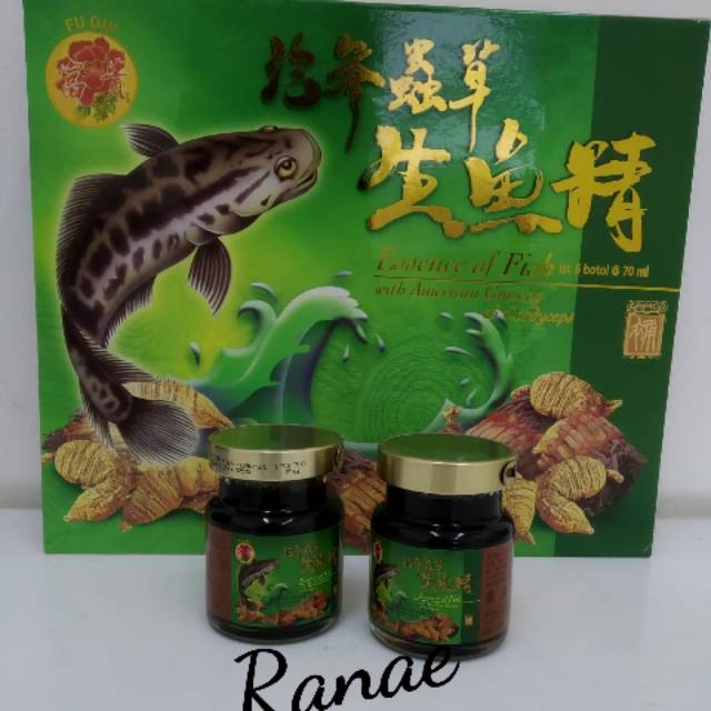 Fu Gui Essence of fish - ikan gabus untuk luka bakar