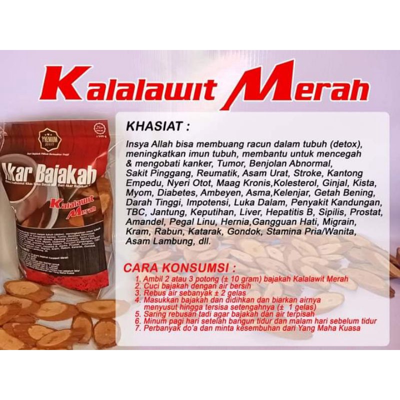 

Akar Bajakah Kalalawit Merah