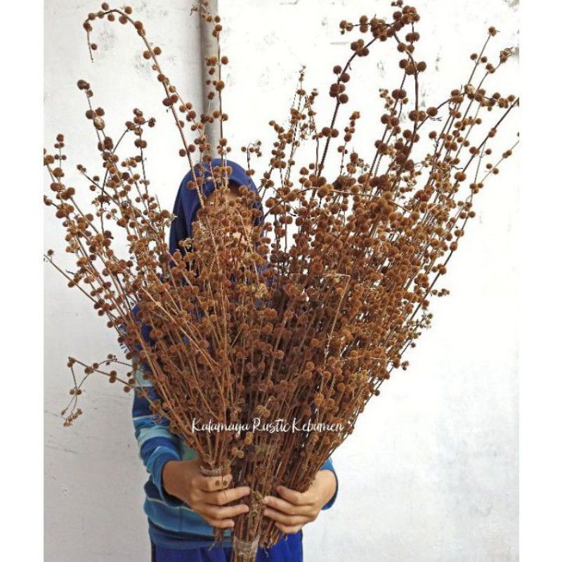 

(15 pcs ) bunga fried pom pom kering hiasan dekor