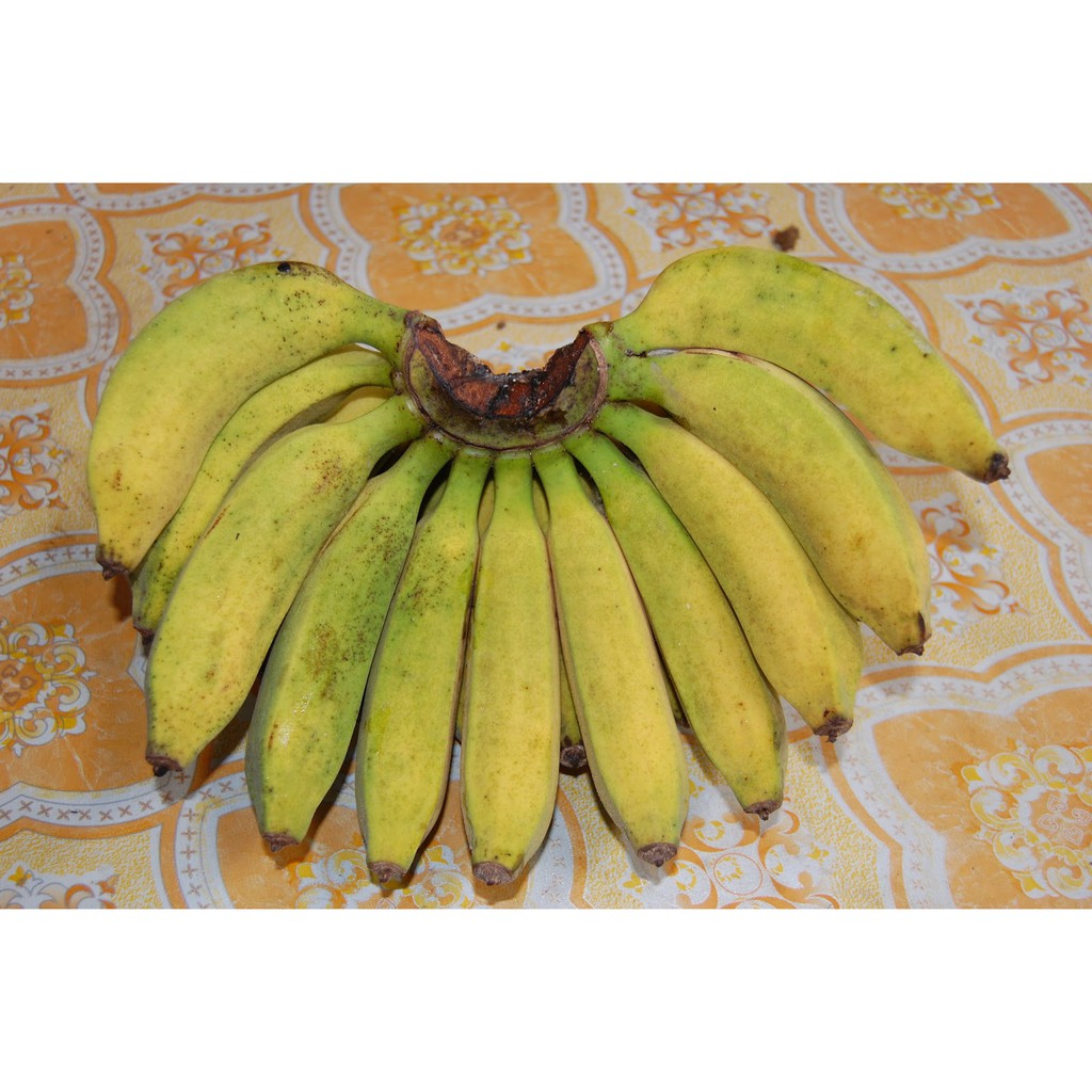 

Pisang Raja (Sisir)
