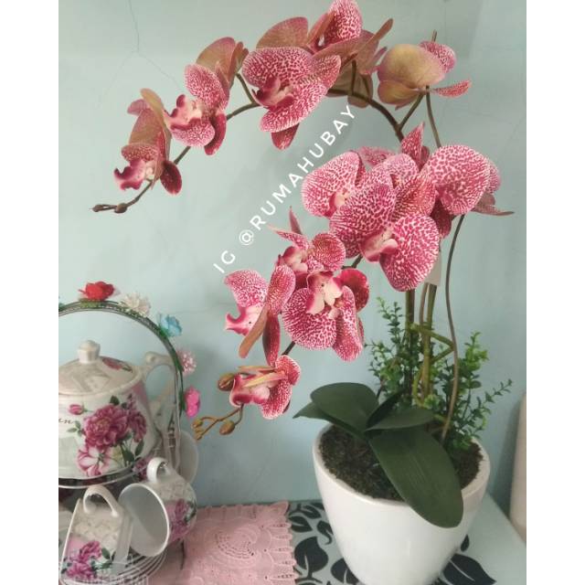 ANGGREK BULAN LATEX 3D JUMBO