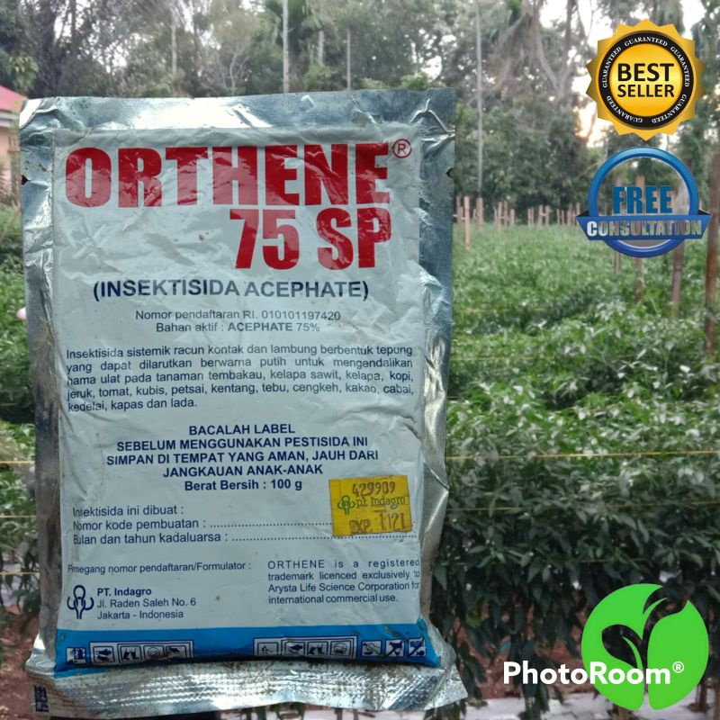 INSEKTISIDA ORTHENE 100 Gram - ASEFAT 75 SP