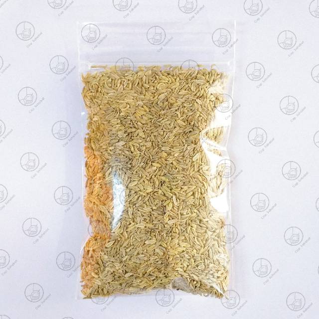 100gr Adas Manis / Fennel Seeds  / Rempah / JSR 100% PREMIUM QUALITY