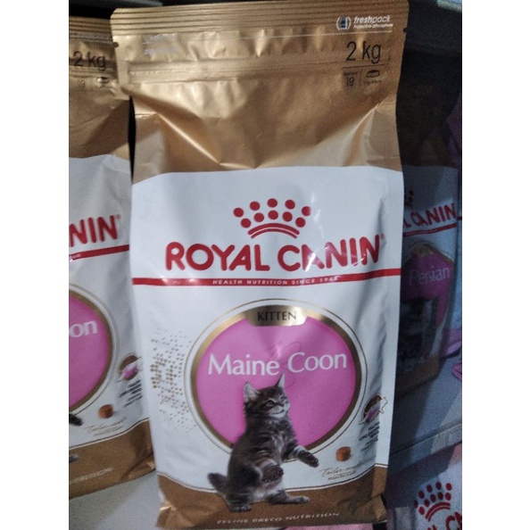 Royal Canin Main Coon Kitten 2kg Makanan kucing Royal Canin