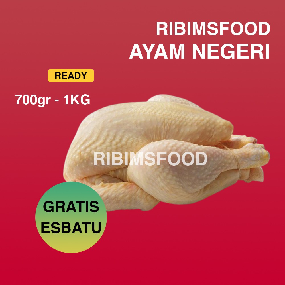 

Ayam Boiler ukuran 800gram - 1200Kg