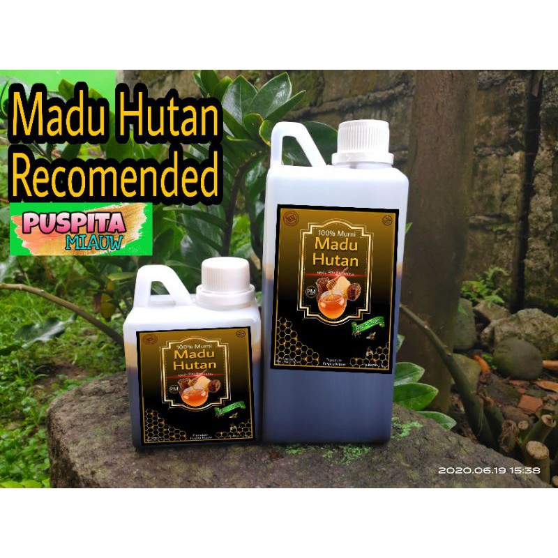

Madu Hutan Riau Murni 500gr - Recomended Puspita Miauw
