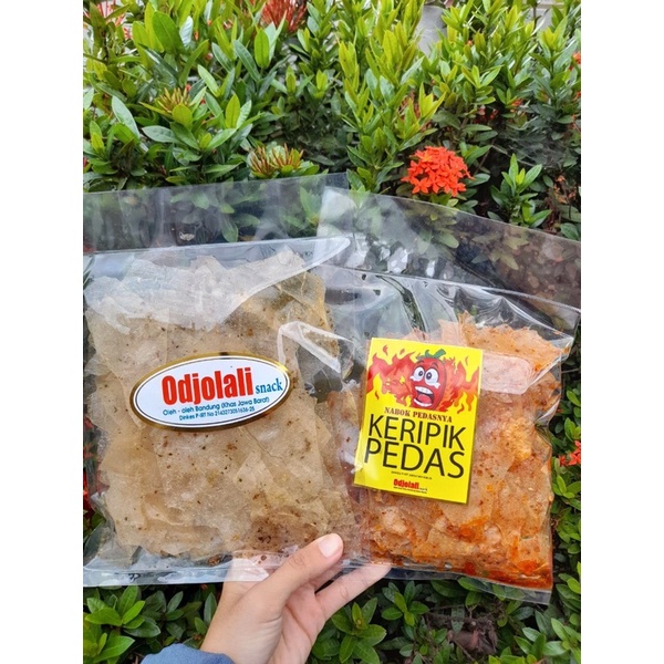 

Kripik Kaca