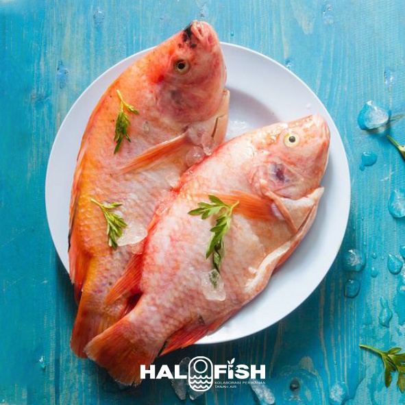 Ikan Nila Segar 1kg (isi 4/5/6 ekor)