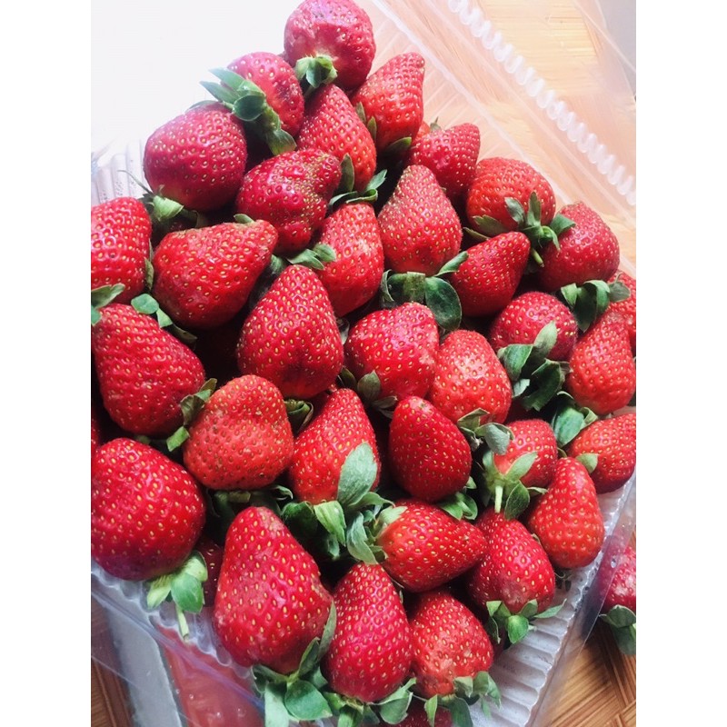 

[ KHUSUS AREA JAWA BARAT ] strawberry fresh asli ciwidey 1 kg