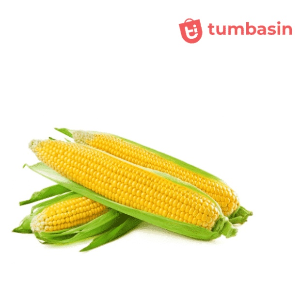 

Tumbasin Jagung Manis 1 kg (Isi 3-4 pcs)
