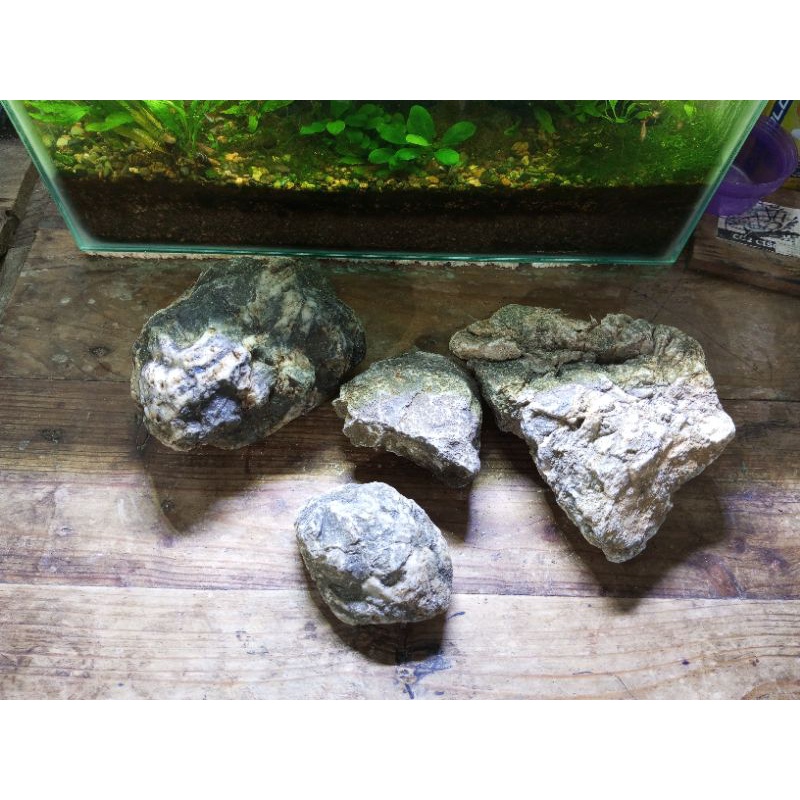 Jual Batu Turly Aquascape - Batu Turli 1kg | Shopee Indonesia