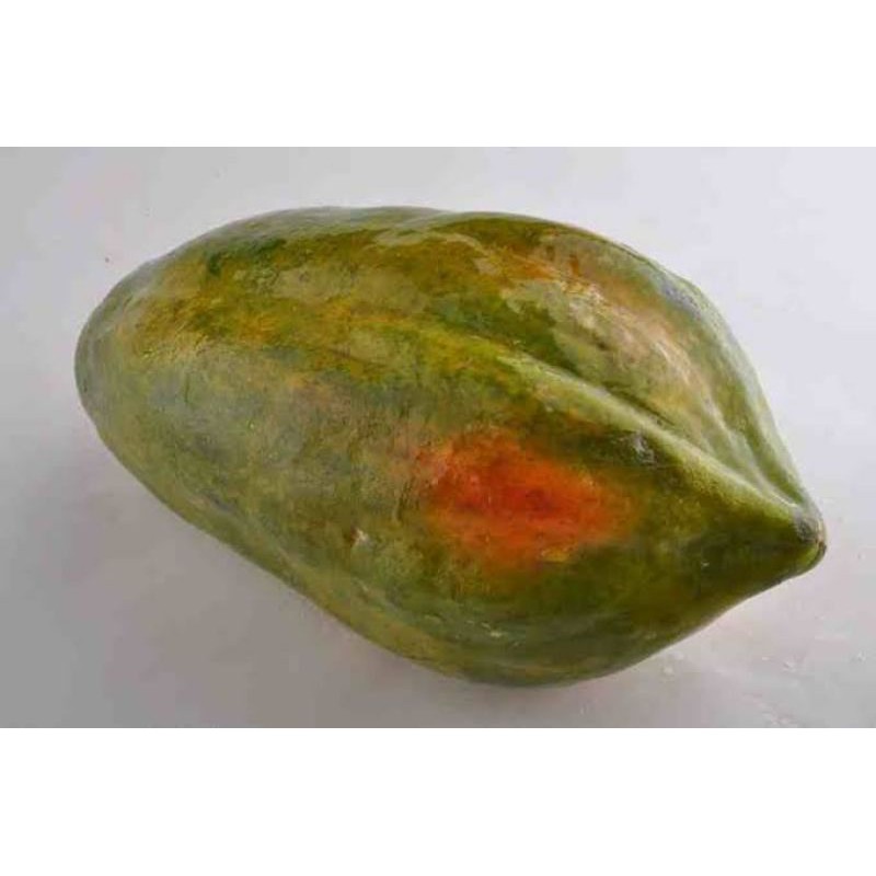 

Pepaya Bangkok /1 buah
