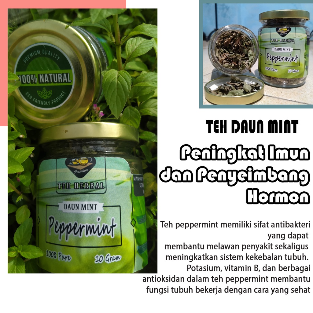 

TEH HERBAL DAUN MINT KERING PURE PEPPERMINT TEA