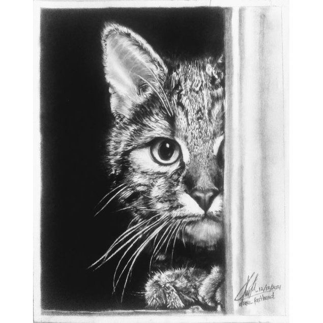 

lukisan pensil ( kucing )