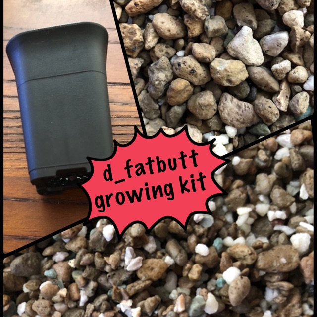 d_fatbutt Growing Kit untuk Lithops/Greenovia/Conophytum/Dinteranthus/Monilaria