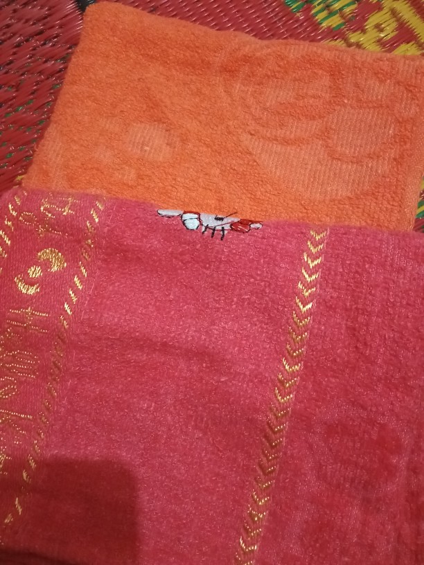 Handuk Leher Champion Bordir 30x90