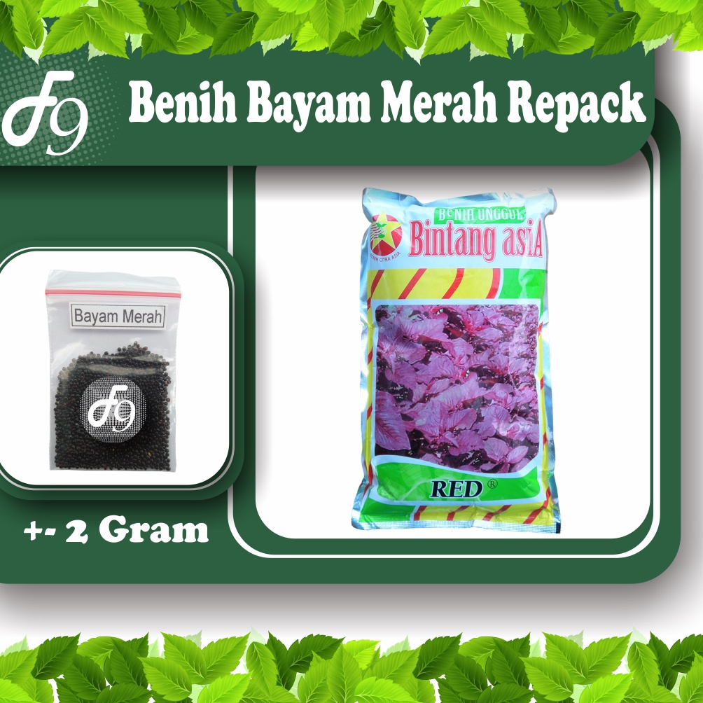 Benih Bibit Bayam Merah Murah Repack Seribuan