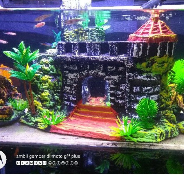 83 Jual Dekorasi Aquarium Gratis Terbaru