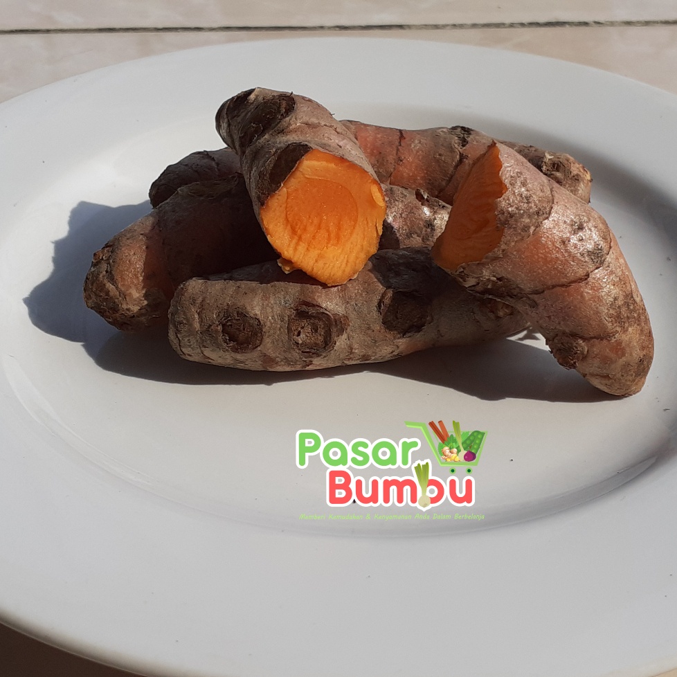 

KUNYIT SEGAR 1KG